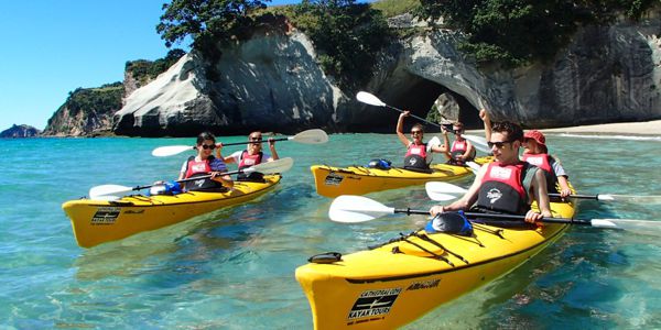Cathedral Cove Kayak Tours
